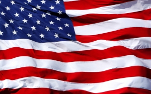 American Flag 22-Waving